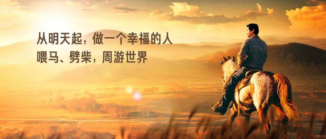 2021雷军年度演讲全文：这些年经历的艰难选择