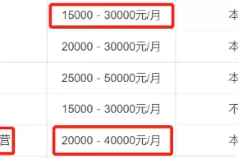 唯品会做独立站，月薪4万组团队！