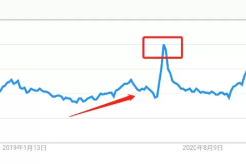 年出货量破百万！独立站是他下一个突破点