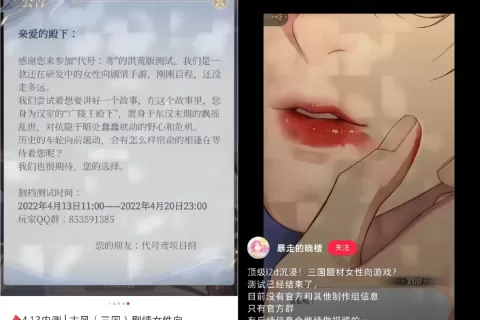刷屏大半个月的《代号鸢》，将女性向玩家带进了「数值深坑」