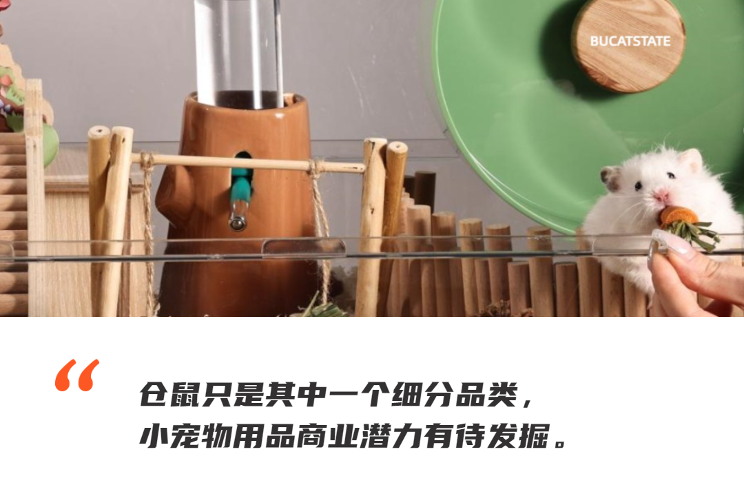 别总盯着猫猫狗狗，小宠物用品出海也是门大生意