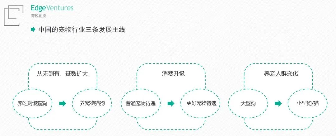 牵狗绳创收千万美金！WILD ONE如何打造网红宠物品牌？