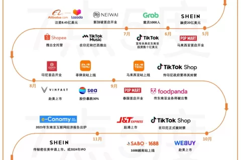 东南亚2023，潮起潮落