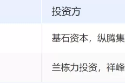 环保鞋履走红全球，DTC品牌VIVAIA为何能成功出海？