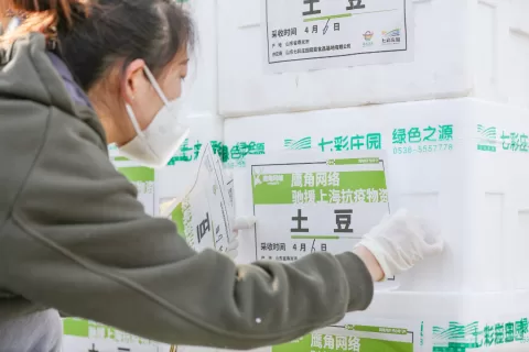 携手抗击疫情，鹰角采购600吨新鲜蔬菜支持民生保障