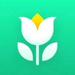 【出海榜单】2023 年 6 月中国非游戏厂商及应用出海收入 30 强