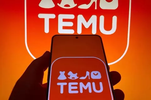 Temu“周岁”落地东南亚 “砍一刀”出海能否再下一城
