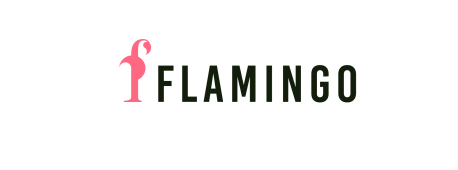 时尚无国界，看亚马逊云科技携手伊克罗德信息助力 Flamingo 打造电商独立站，掀起全球牛仔热潮