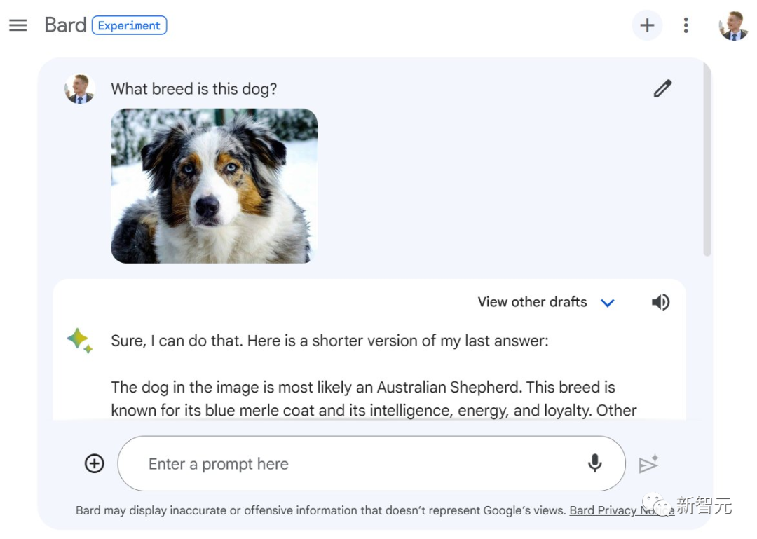 谷歌Bard支持中文了！十级过关，看懂梗图，直接上手免费体验
