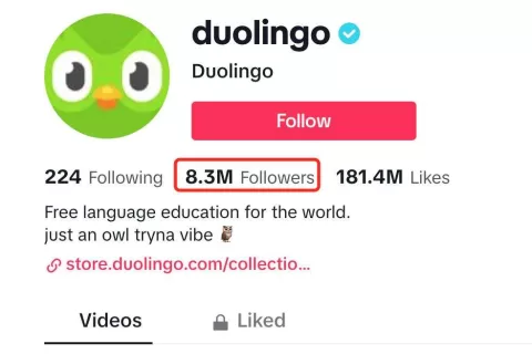 TikTok正在成为海外教育科技的营销阵地