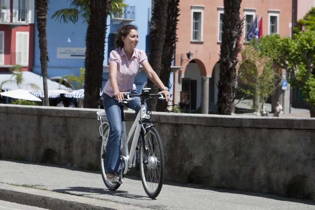 小米、大疆都在抢的 Ebike，玩出一个千亿美元新风口