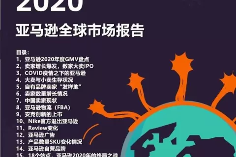 2020年7大出口电商平台市场报告