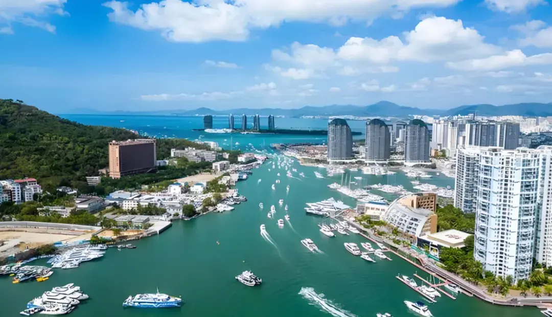 海南陵水成投资热钱新沃土 新老出海人在这里开启人生下半场