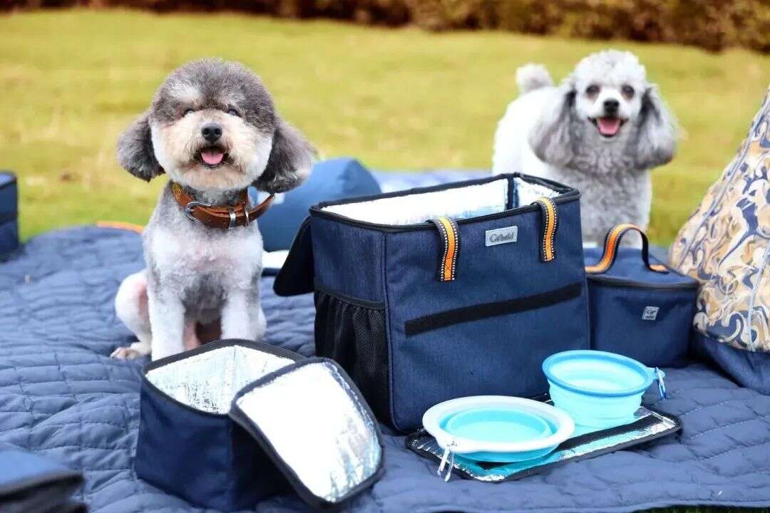 从家族工厂到上市大卖！天元宠物国内买地、海外建厂