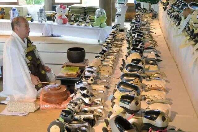 我的情人不是“人”