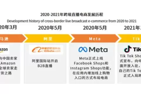 罗永浩杀向海外 TT直播内卷之路开启？