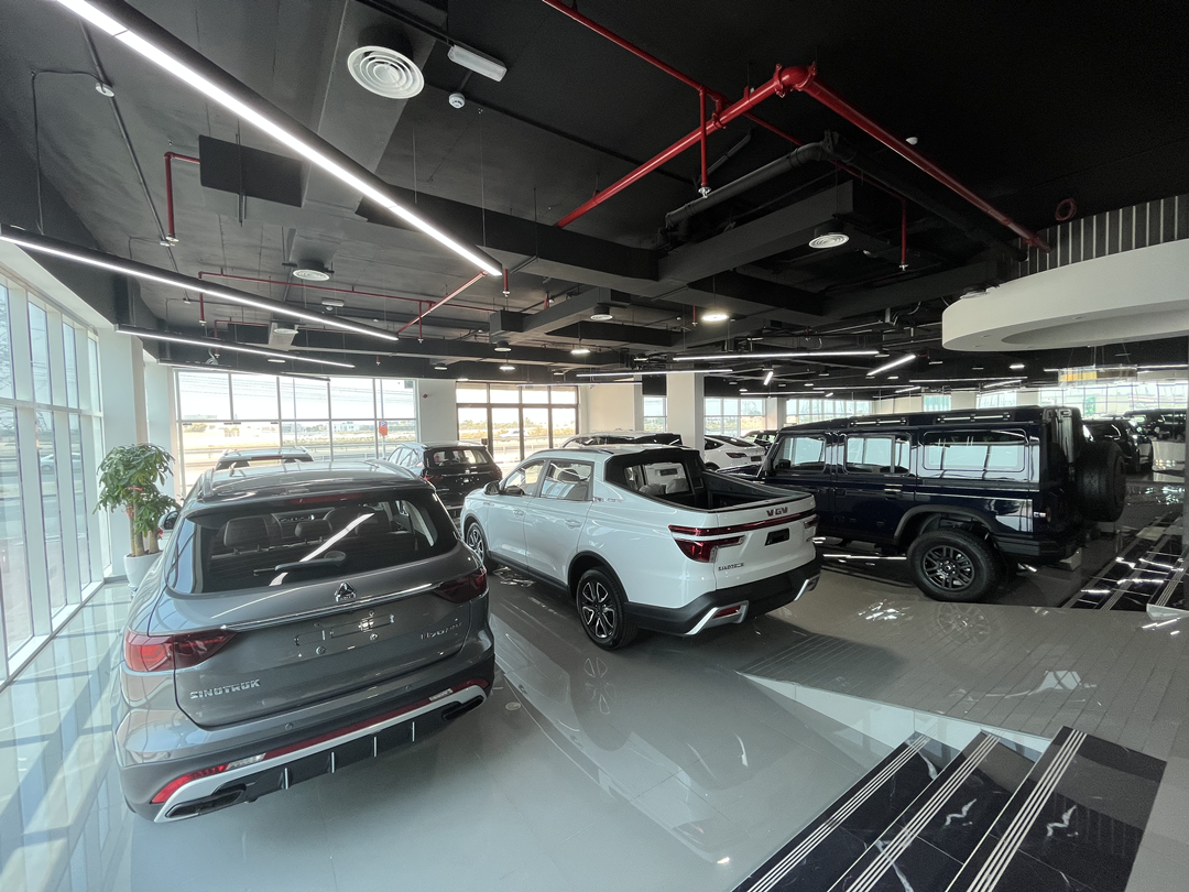 中国新能源车企，加速杀入中东