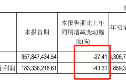 利润收缩、股价跌停，CEO：我们不喜欢用KPI去管理