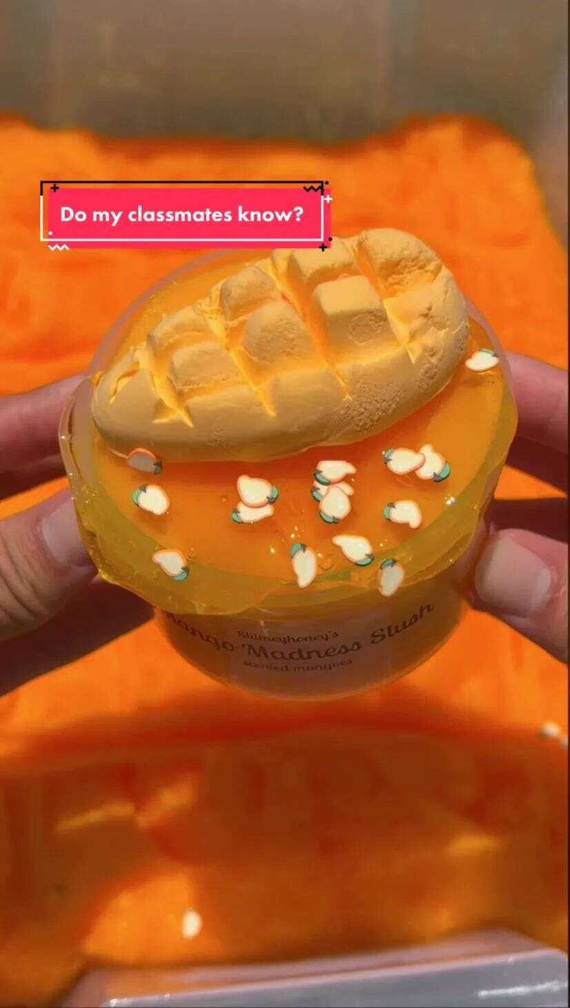 上TikTok卖爆款！17岁小伙进账百万美金顺便拿到名校offer