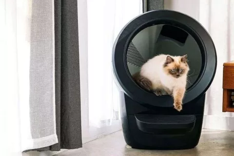 5000块的猫砂盆卖出百万销量！“铲屎”到底有多吸金？