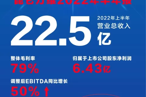 一图读懂昆仑万维2022年半年报