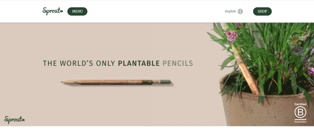 神奇铅笔可种植开花！品牌在TikTok涨粉15万，亚马逊一度卖断货