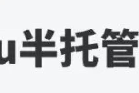 Temu爆发内斗，半托管叫板全托管