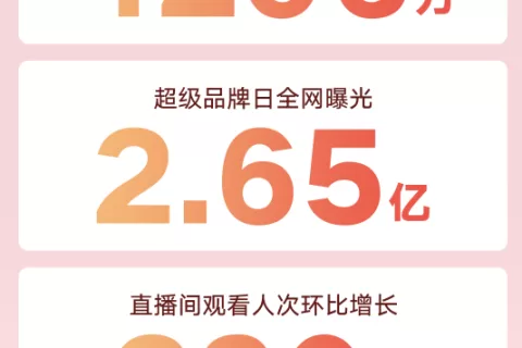 玩转大促，我们总结了这些品牌极致爆发的密码