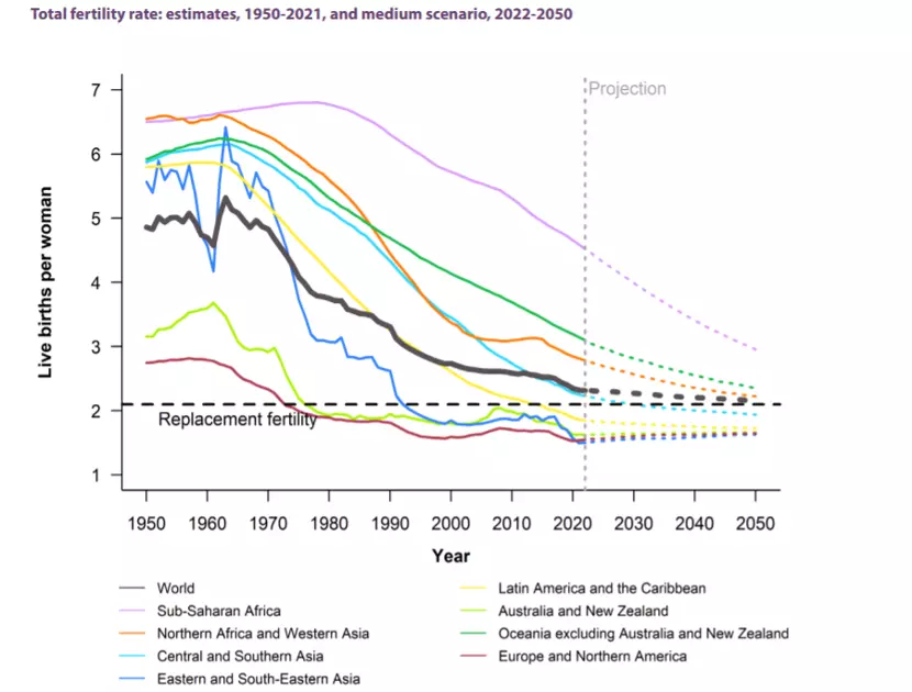 下一个PatPat？童装品牌Hibobi如何占领中东千亿市场