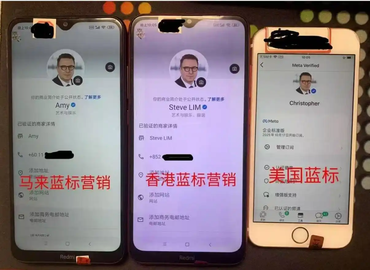 如何用私域神器的「WhatsApp磐石系统」批量养成WhatsApp绿标号？日发200+不封号