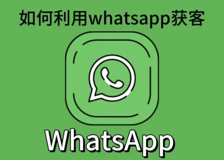 为什么选择WhatsApp进行获客?企业如何实现在WhatsApp获客