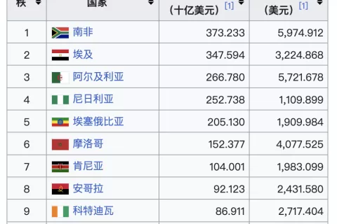 2024 年非洲经济排名榜：谁主沉浮？
