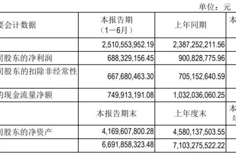 吉比特上半年收入25亿，储备9款新品，5款有版号