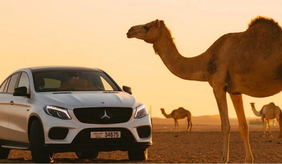 中国新能源车企，加速杀入中东