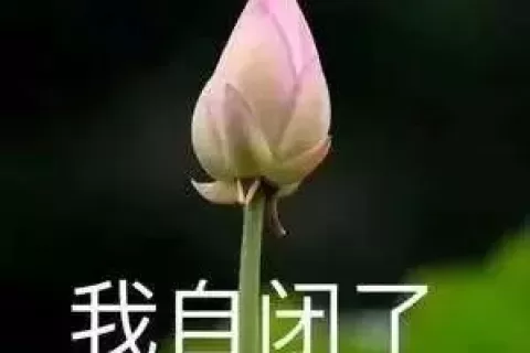 亚马逊或将上线这功能，这是要卷死的节奏呀！