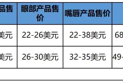 一年内破2000万美金，她的美妆独立站玩法有何特别