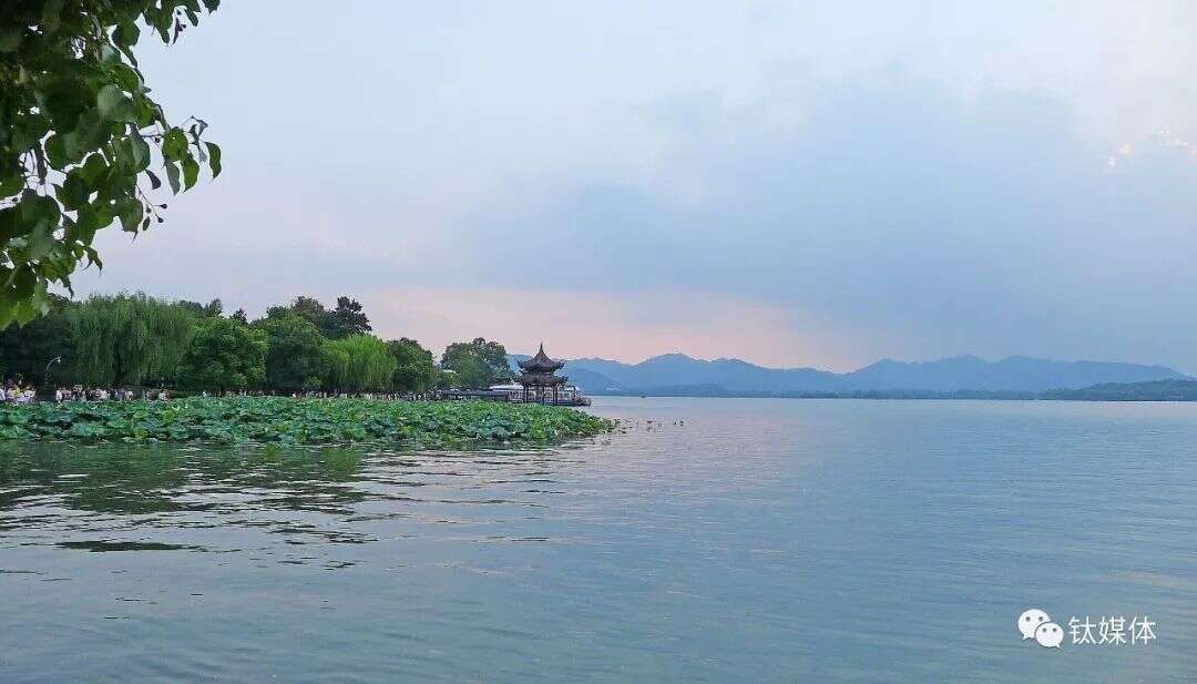 逆势增长超20%，九牧凭什么成为“中国第一 世界前三”？