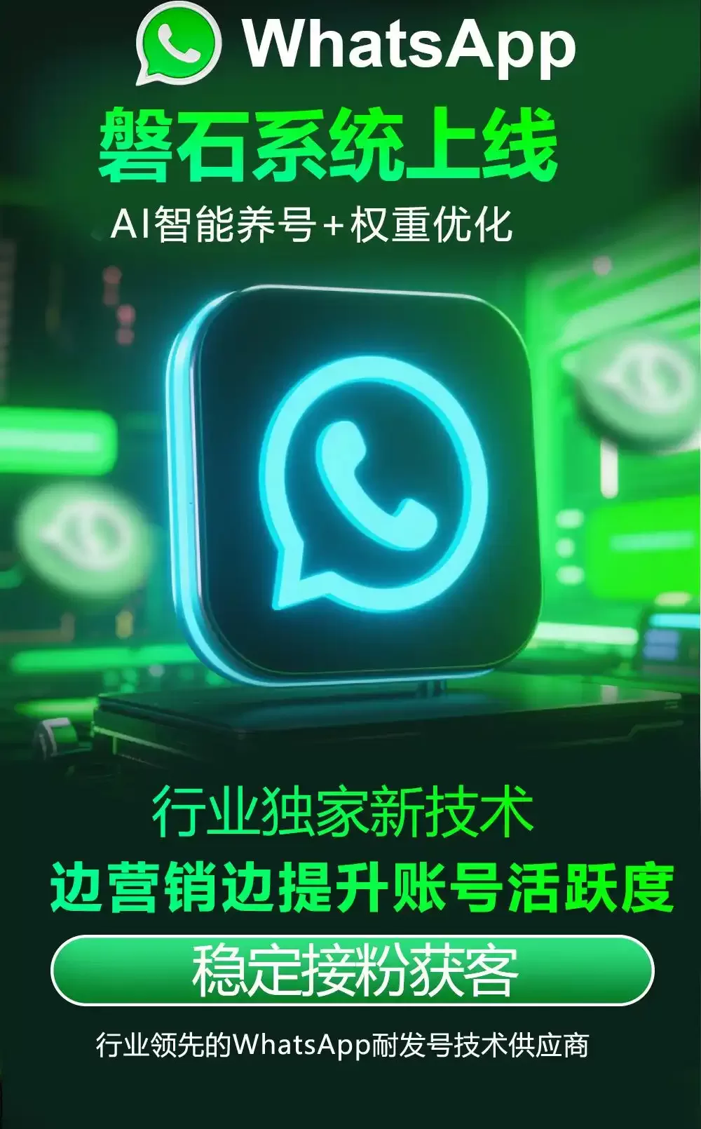 新号3天就能做营销？揭秘WhatsApp磐石系统如何产出耐发号入口，超级号日发500条不封号！