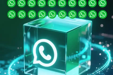 客户说丨从“3天封1号”到“月零封号”，WhatsApp磐石系统如何让生意起死回生？
