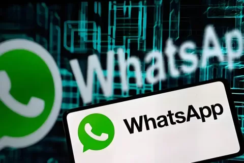 WhatsApp磐石系统如何实现安全高效的全球私域构建？深度解析绿标号与AI智能群发技术