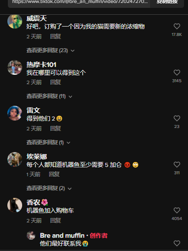 爆款猫玩具走红TikTok，5天播放破千万！