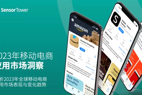 《2023年移动电商应用市场洞察》