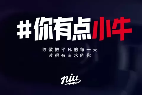 海外营收增长50%！小牛电动的出海生意经