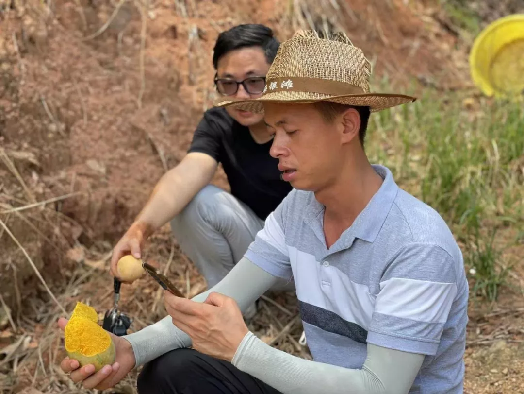 从海外婚礼定制专家到芒果电商：一位85后北京CEO的转型之路