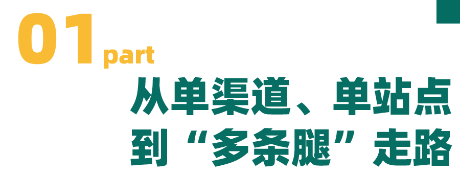过山车120天！TikTok印尼卖家惊情实录｜东南亚出海洞察