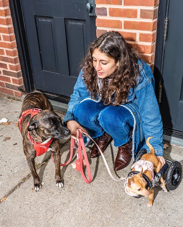 牵狗绳创收千万美金！WILD ONE如何打造网红宠物品牌？