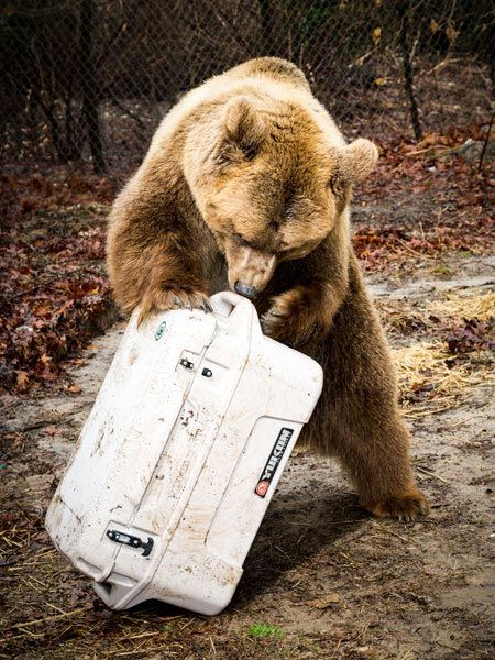 户外小众类目做到百亿市值，亚马逊大卖也能做好独立站