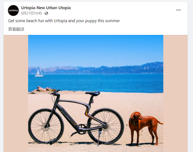 一辆卖2万元！E-Bike出海品牌高价卖爆北美