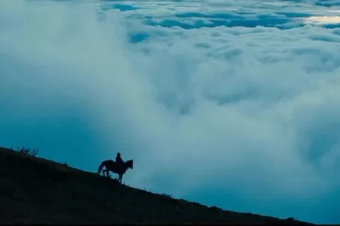 黄峥出海前传，拼多多兄弟公司往事