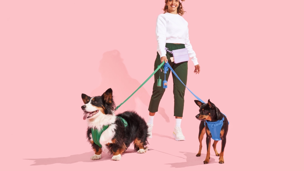 牵狗绳创收千万美金！WILD ONE如何打造网红宠物品牌？